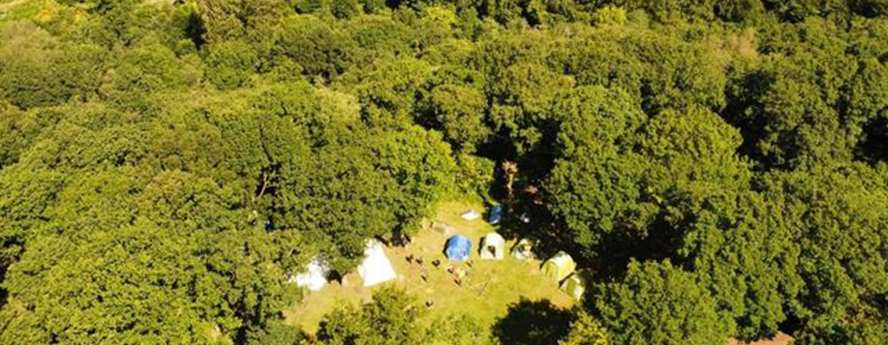 Birds eye view of camping tents in the forest